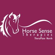 Equine Sports Massage Therapist offering mobile TheraPlate, Equissage & Red Light sessions in Durham, North East & Scottish Borders. Insured & IAAT Member