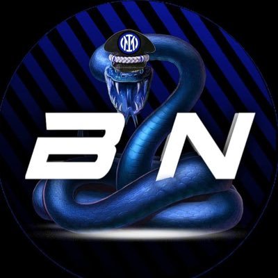 BNerazzurra's profile picture. 🗣👨‍🏫L’Inter è per noi uno stile di vita, parte fondamentale della nostra quotidianità!🐍