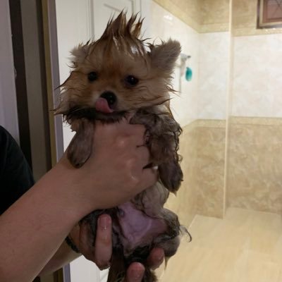 supakit87032543's profile picture. สวัสดีครับ