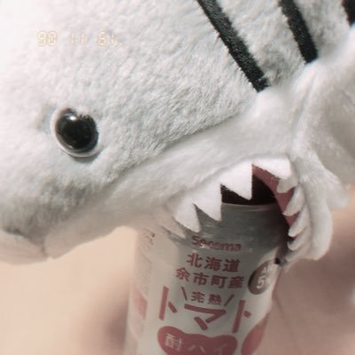 =͟͟͞͞🦈 =͟͟͞͞を =͟͟͞͞加 =͟͟͞͞速 =͟͟͞͞さ =͟͟͞͞せ =͟͟͞͞ろ