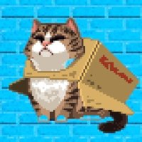 Maelg (@_maelg) 's Twitter Profile