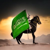 حسين ال يحيى ((ابو غيث))⚘ (@h22fh) 's Twitter Profile