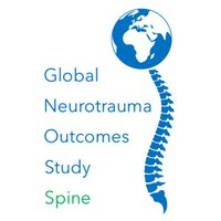 Global Neurotrauma Outcomes Study: Spine (@gnos_spine) 's Twitter Profile Photo