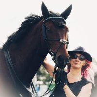 Nicki Sharp Photography (@nickisharpphot1) 's Twitter Profile