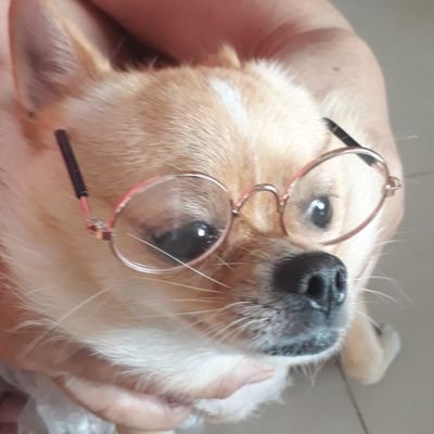 NajaReddot's profile picture. Alone