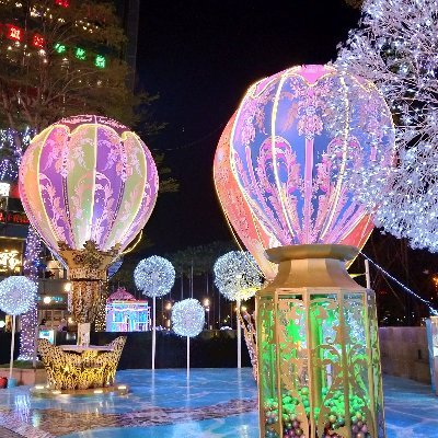 yang507091's profile picture. 