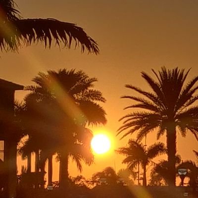 dpafumi's profile picture. 