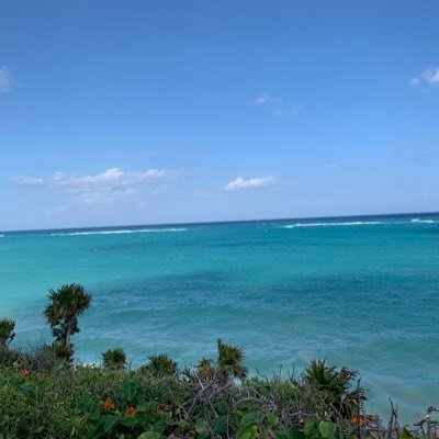 saku_zuckerberg's profile picture. 