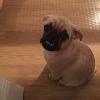 TroponinaT's profile picture. 