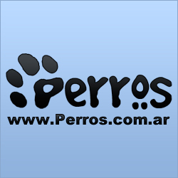 El Sitio Oficial de los Perros en Argentina. http://t.co/D63lmeU4ko