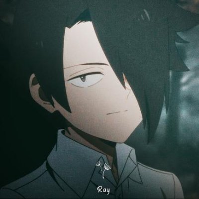 tpn_sammy's profile picture. Ray is 100% into Norman. Wishing I was as smart as these kids. Phil is love, Phil is life. Main account: @SnezhnayanMan