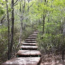 Se young - @hahasophia - Twitter