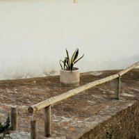 Itsaso Arizkuren (@_itsas) 's Twitter Profile