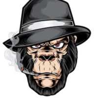 Pat_lynch (@patlync21282164) 's Twitter Profile