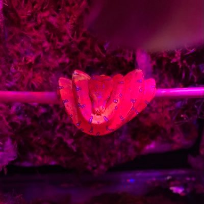 avn761's profile picture. Exploring Twitter.