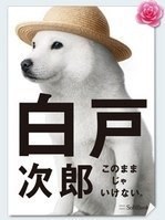 siratojiro48's profile picture. 