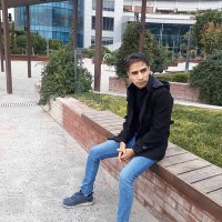 Arash (@arashfazilati) 's Twitter Profile
