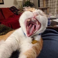 Janet STOP TELLING WOMEN TO CALM DOWN (@maschlaggy) 's Twitter Profile