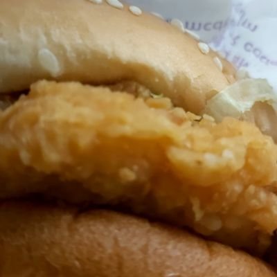 wwwhaadkek's profile picture. 