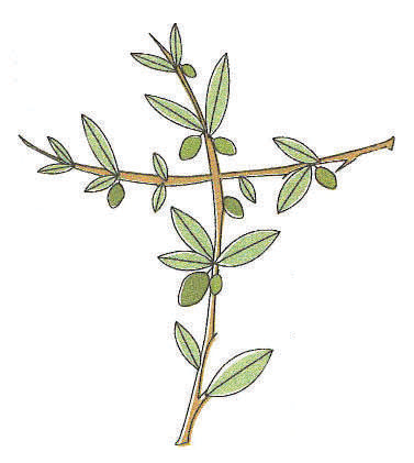 Welcome to the Mount Olive Lutheran Church & School Twitter page.  We are pleased that you have stopped by. Mount Olive exists to glorify God and change lives.