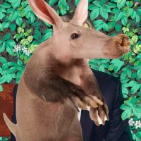 stove (@nolemonnomelon) 's Twitter Profile