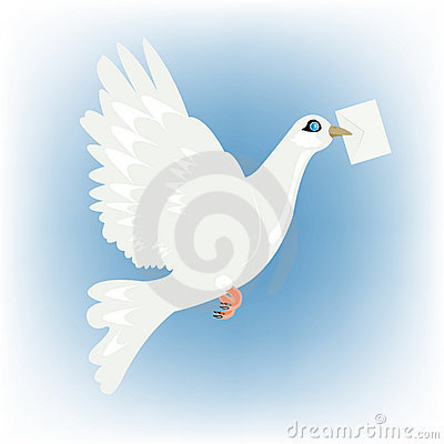 postduif90's profile picture. 