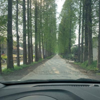 tieziwang's profile picture. How are you?I’m fine thank you and you