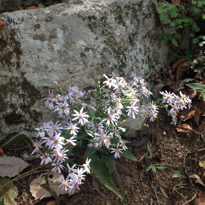 Pamela_Taylor7's profile picture. 