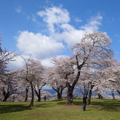 自然・花植物、奇岩・巨石、神社巡りが好きです。古代から伝わる日本の神様のお話は好きですがそれ以外の宗教の類は嫌いです。
Tweetは備忘録としてあげる事が多いです。

無言フォローお許しください。
無言フォローも歓迎しますがDMでのご挨拶はスルーすると思います。
DMは普段交流ある方は👍
宜しくお願い致します☺