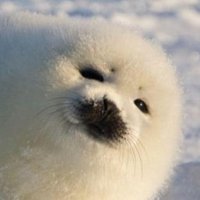 K.G.Blagden. Embassy, This Cancer Site (@kgblagden) 's Twitter Profile Photo