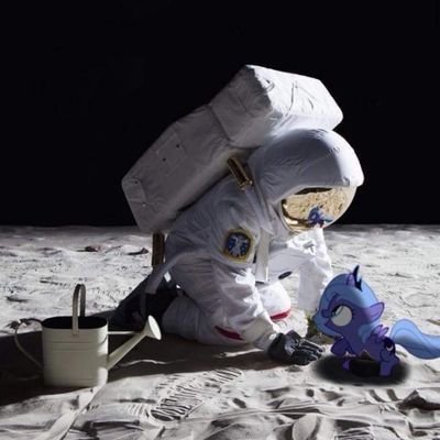 DonShhhhh's profile picture. Nothing shjj