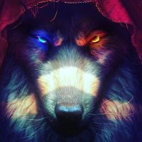 Nicolás (@snicolas1995) 's Twitter Profile