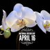 National Orchid Day (@Nat_Orchid_Day) Twitter profile photo