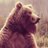 @BearMarketMoney