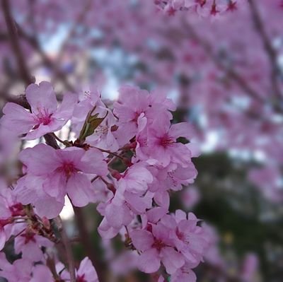 思考停止していた人生から抜け出そうと決意中✨
カフェ、インテリア、発酵食品、自然、ごろごろ寝るのが好き💕
こっそりふ〜みん