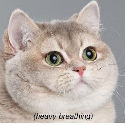 InstituSean's profile picture. 