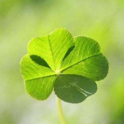 Patryk43386905's profile picture. ZaufajDobrymRadom