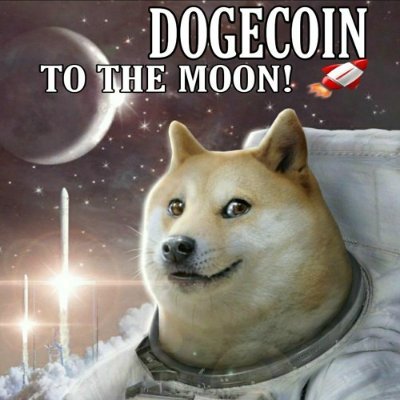 🎶🎶 Fly me to de Mooon...let the numbers carry me.....🎶🎶🎶Taking the Doge Ship to de Mooooonnn 🚀🚀🌕🌕

Doge Wallet:
DS2RZ3rtKywVECFXb3SM7oATKy8ZMjEzjV