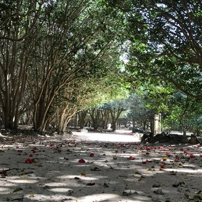 miimama9548's profile picture. 島根のど田舎♡で5児のママ ♡してます♡ 最近競馬にハマり中(￣▽￣)競輪はじめちゃいました(笑) 気軽にﾌｫﾛｰしてください(●´∀｀●)