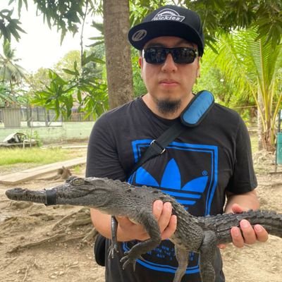 southtown41's profile picture. 