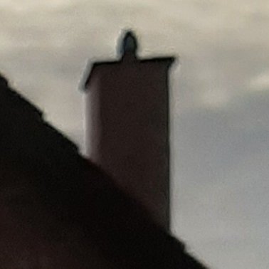 Cupellll's profile picture. 