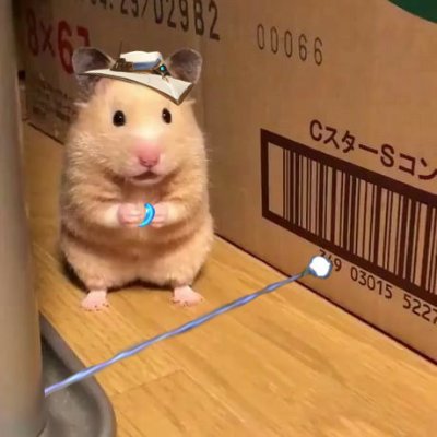 rrraynunez's profile picture. UPD | BS Computer Science