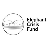 Elephant Crisis Fund (@elephantcrisis) 's Twitter Profile Photo Elephant Crisis Fund (@elephantcrisis) 's Twitter Profile Photo
