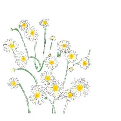 lIyYuItEGmvfB6I's profile picture. 초이스