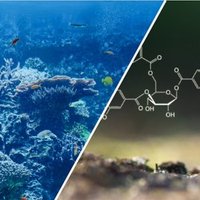 Weizmann_PES (@pesweizmann) 's Twitter Profile