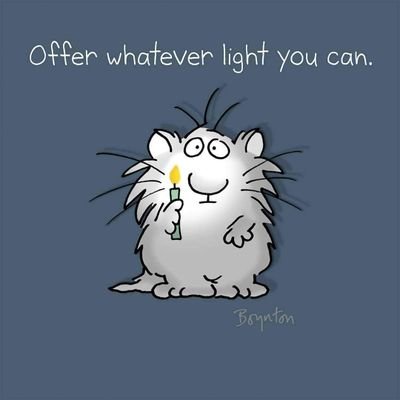 lorikeyketo's profile picture. living my dream life