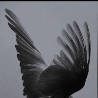 Gunel Mirza (@gunelmirza1) 's Twitter Profile Photo