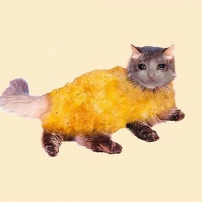 neon the chicken nugcatさんのプロフィール画像