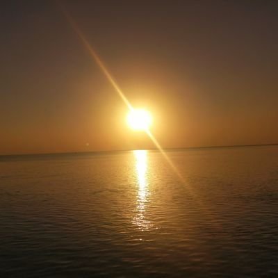 MagdiBadr11's profile picture. Family