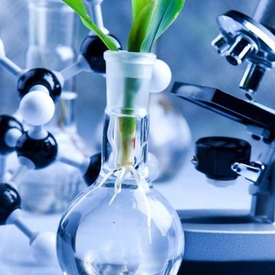 RincyJosh's profile picture. Program Manager
Allied Academies